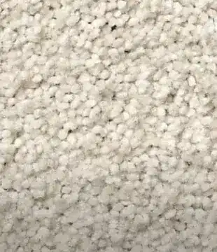 Carpet | Carpet Collection